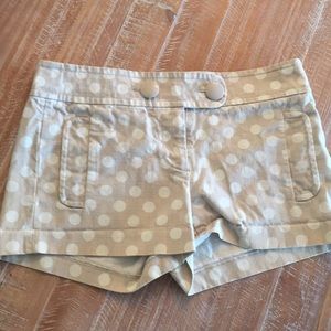 Polka Dot J. Crew City Fit Shorts
